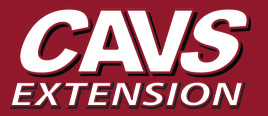 CAVS Ext Logo